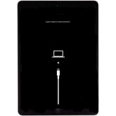 iPad 2 Software Recovery Service